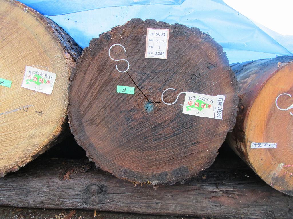 5003 クルミ 石狩